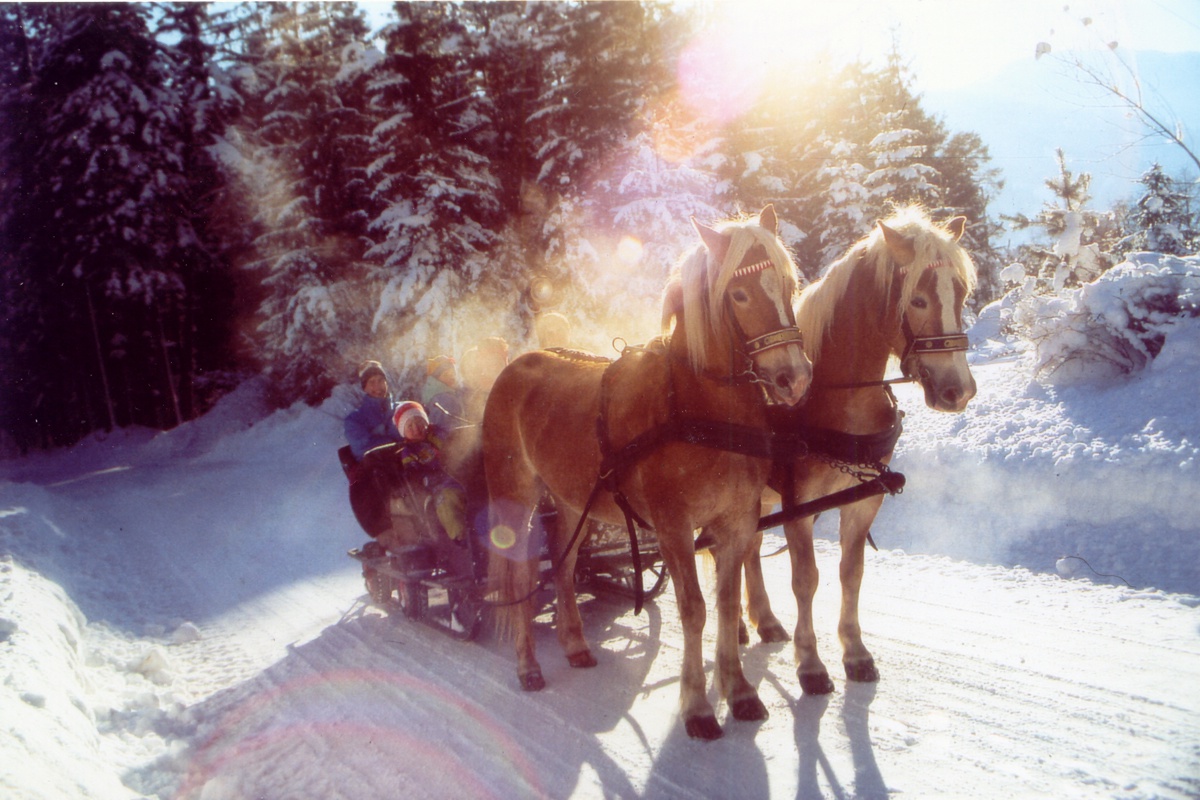 Pferdeschlittenfahrt durch die Winterlandschaft